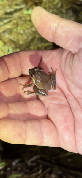 Photo by Suzanne Keiffer 